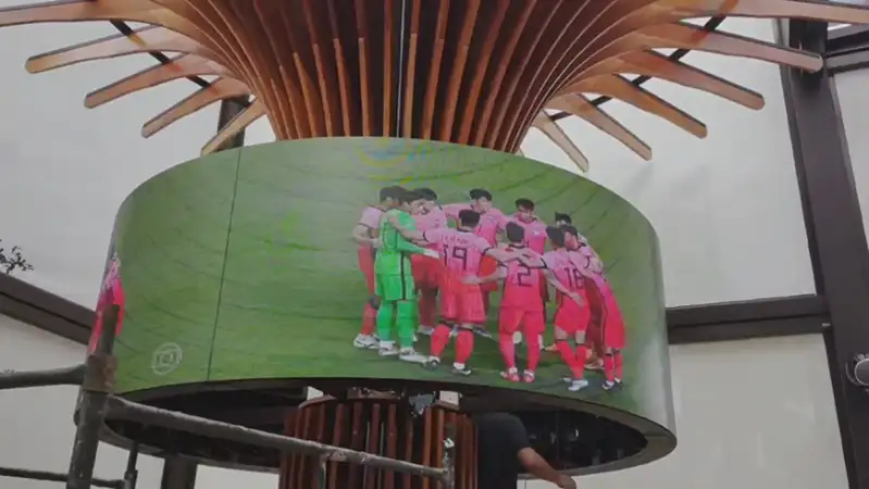 The Brazil Circular Screen Project